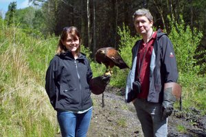 Hawk Walk at Coed y Cymoedd Forest District Resolven Neath